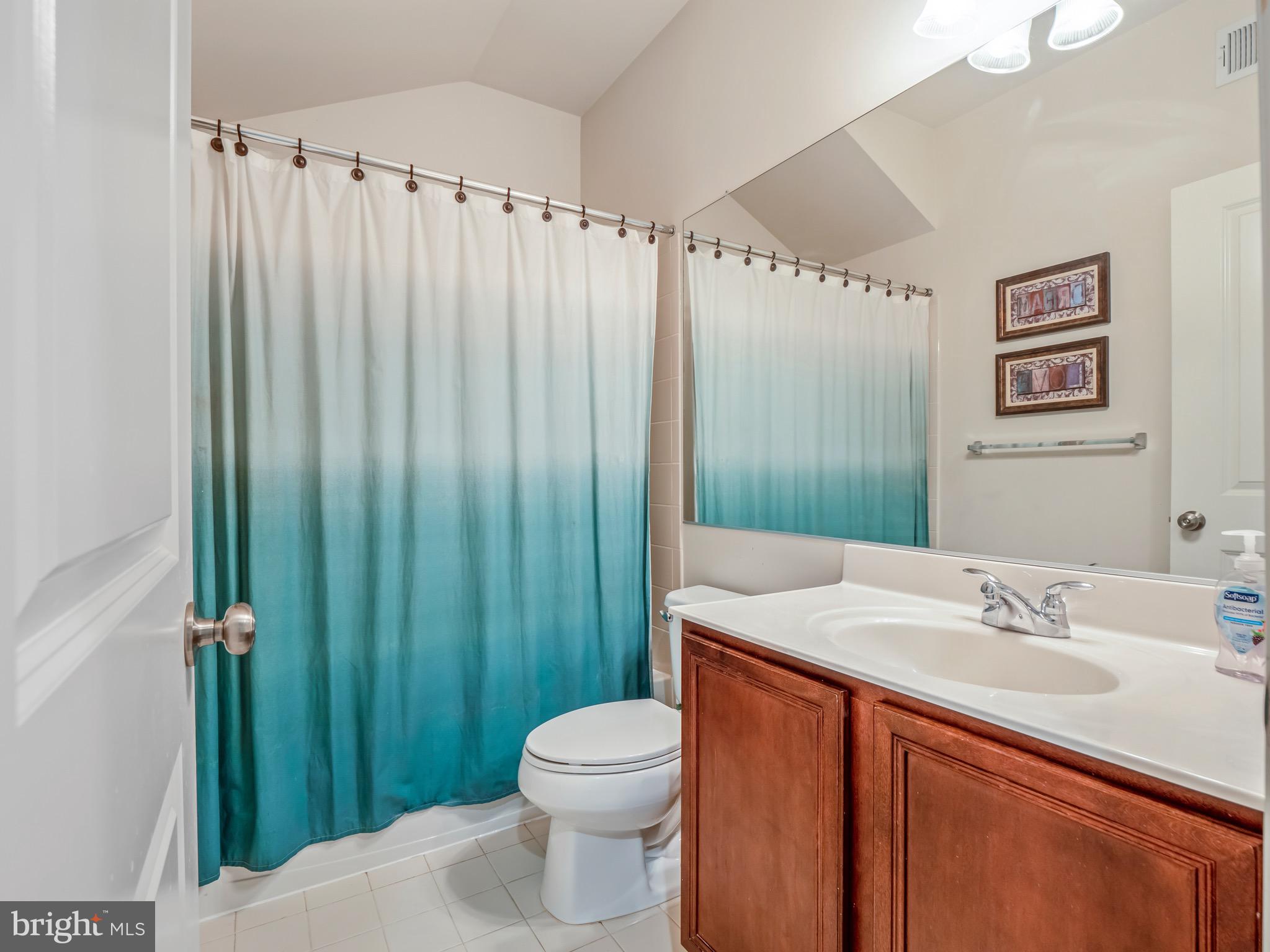 23366 Evening Primrose Square Brambleton, VA 20148 - Photo 27 of 28 a bathroom with a sink a toilet and shower