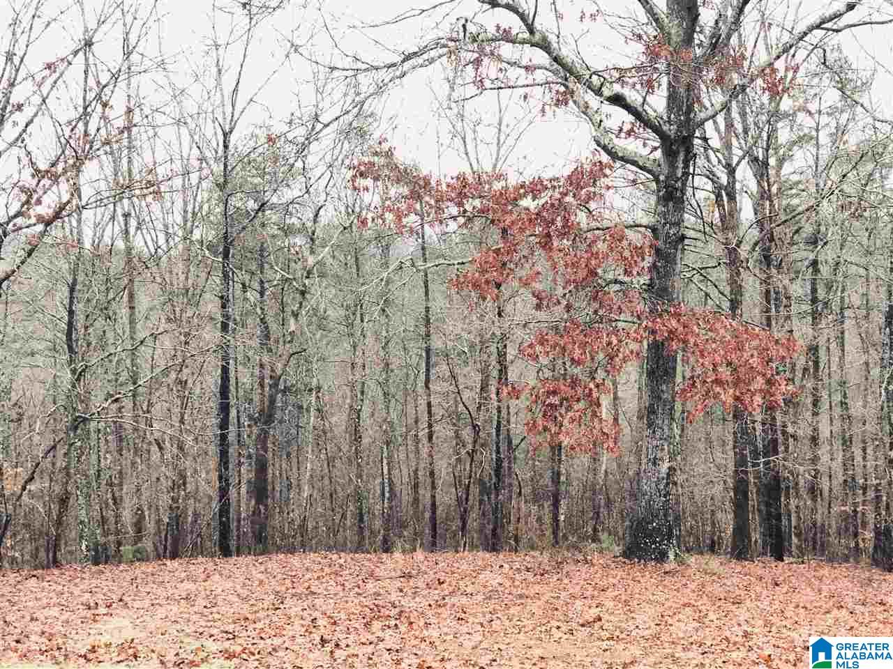 30899 Highway 431 Heflin, AL 36264 - Photo 29 of 42