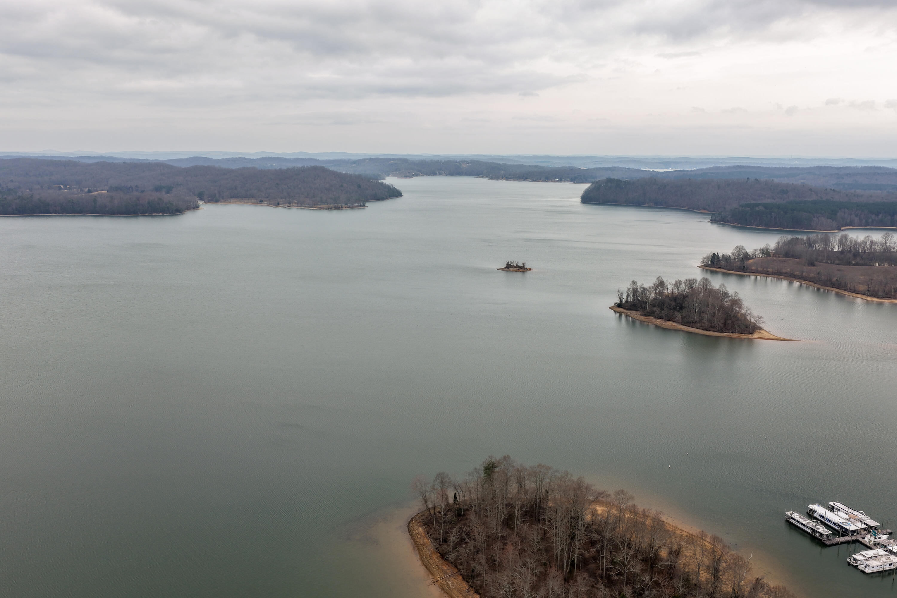 1235 New Lake Road, Unit 4 Spring City, TN 37381 - Photo 46 of 53 NewLake4-44