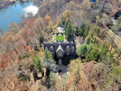 a aerial view of a house with a yard and large tree