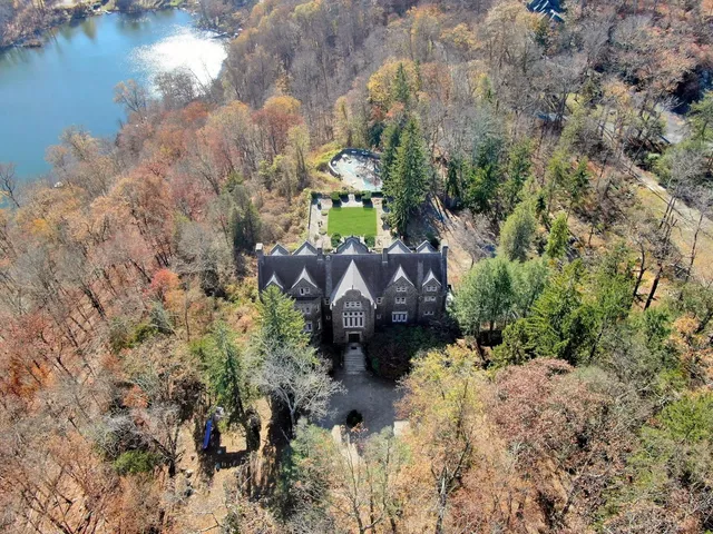 a aerial view of a house with a yard and large tree