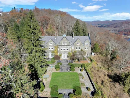 a view of a city with lush green forest