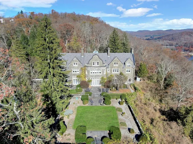 a view of a city with lush green forest