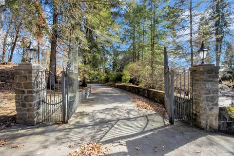 a view of road and trees