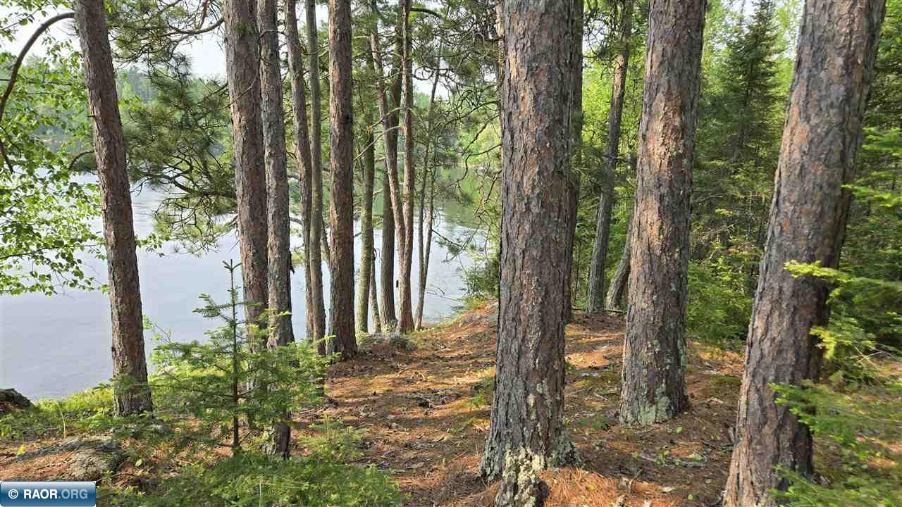 11.85 Bessette Road Orr, MN 55771 - Photo 22 of 50