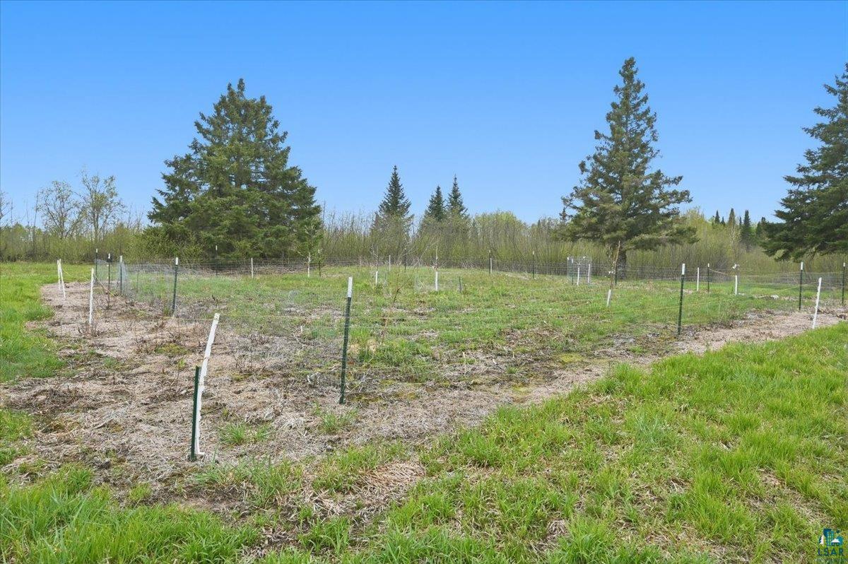 5190 County Road M Gordon, WI 54838 - Photo 25 of 31 Expansive open land featuring diverse ground cover with areas of green grass and drier patches