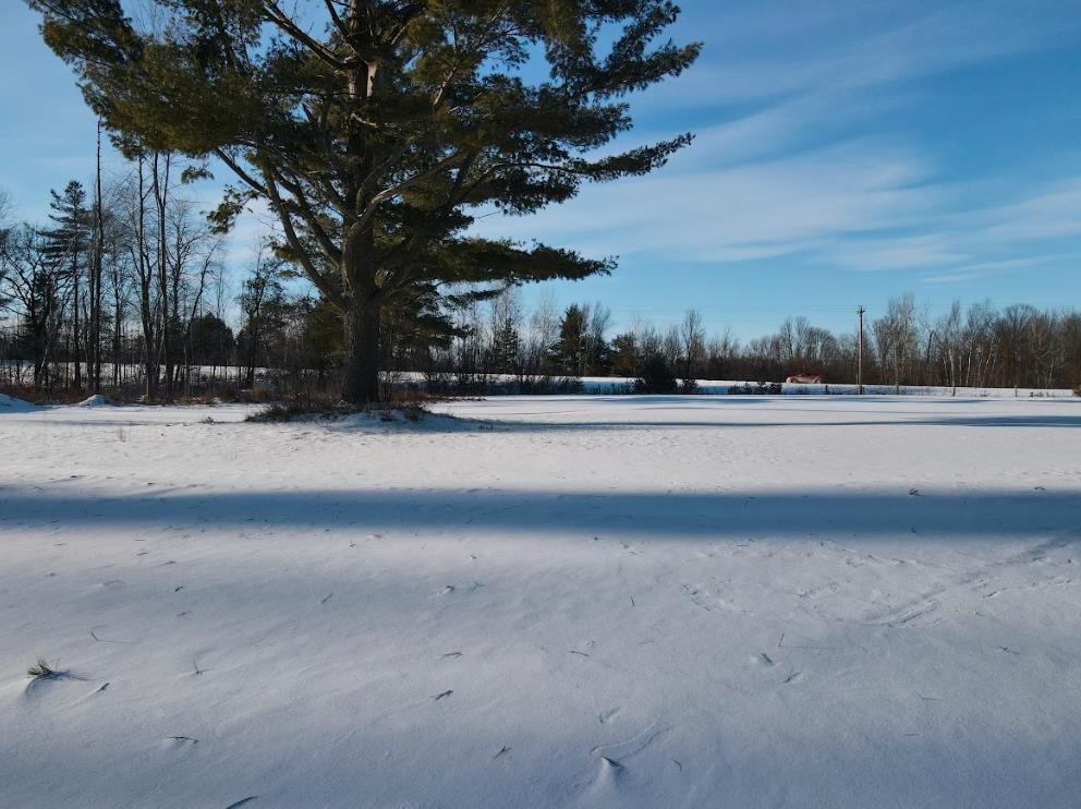 Balsam Fir Road Mosinee, WI 54455 - Photo 10 of 10