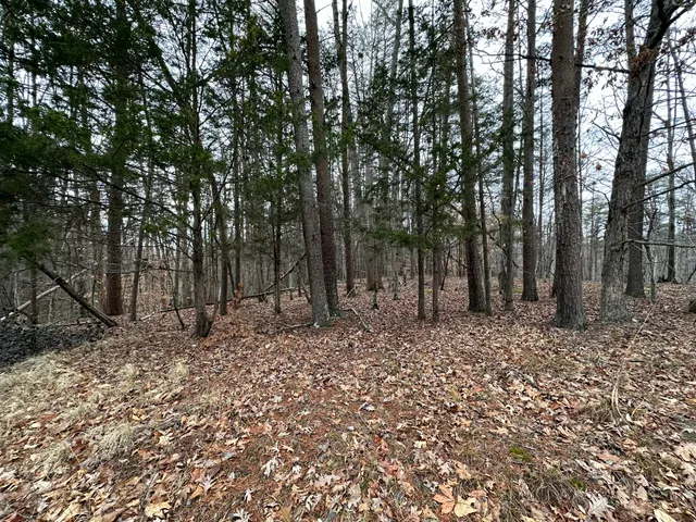 a big yard with lots of green space