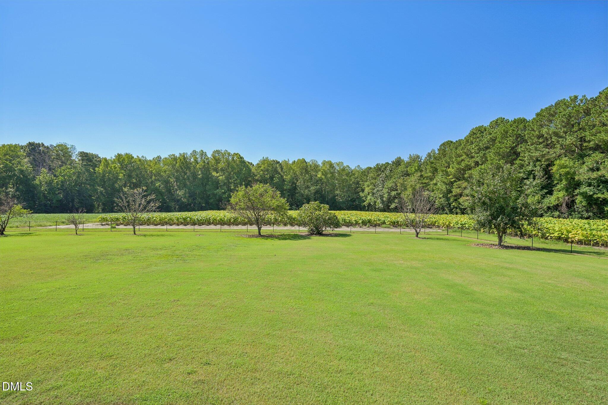 5755 Bruce Road Sims, NC 27880 - Photo 30 of 33 56-web-or-mls-5755 Bruce-S0109-056
