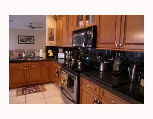 21869 Palm Grass Drive Boca Raton, FL 33428 - Photo 6 of 12 Additional Photo