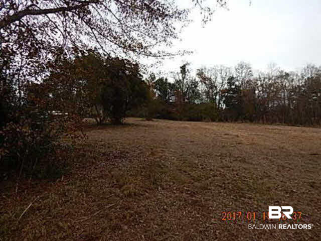 16640 Dawson Road Loxley, AL 36551 - Photo 8 of 10 Land Other