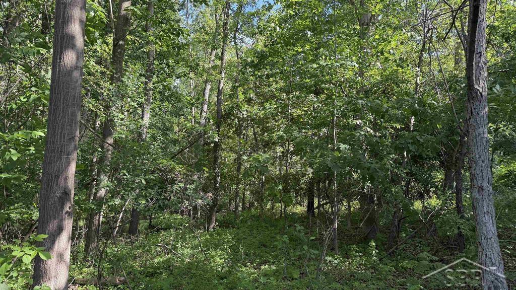 Vl East Gordonville Road Midland, MI 48640 - Photo 4 of 6