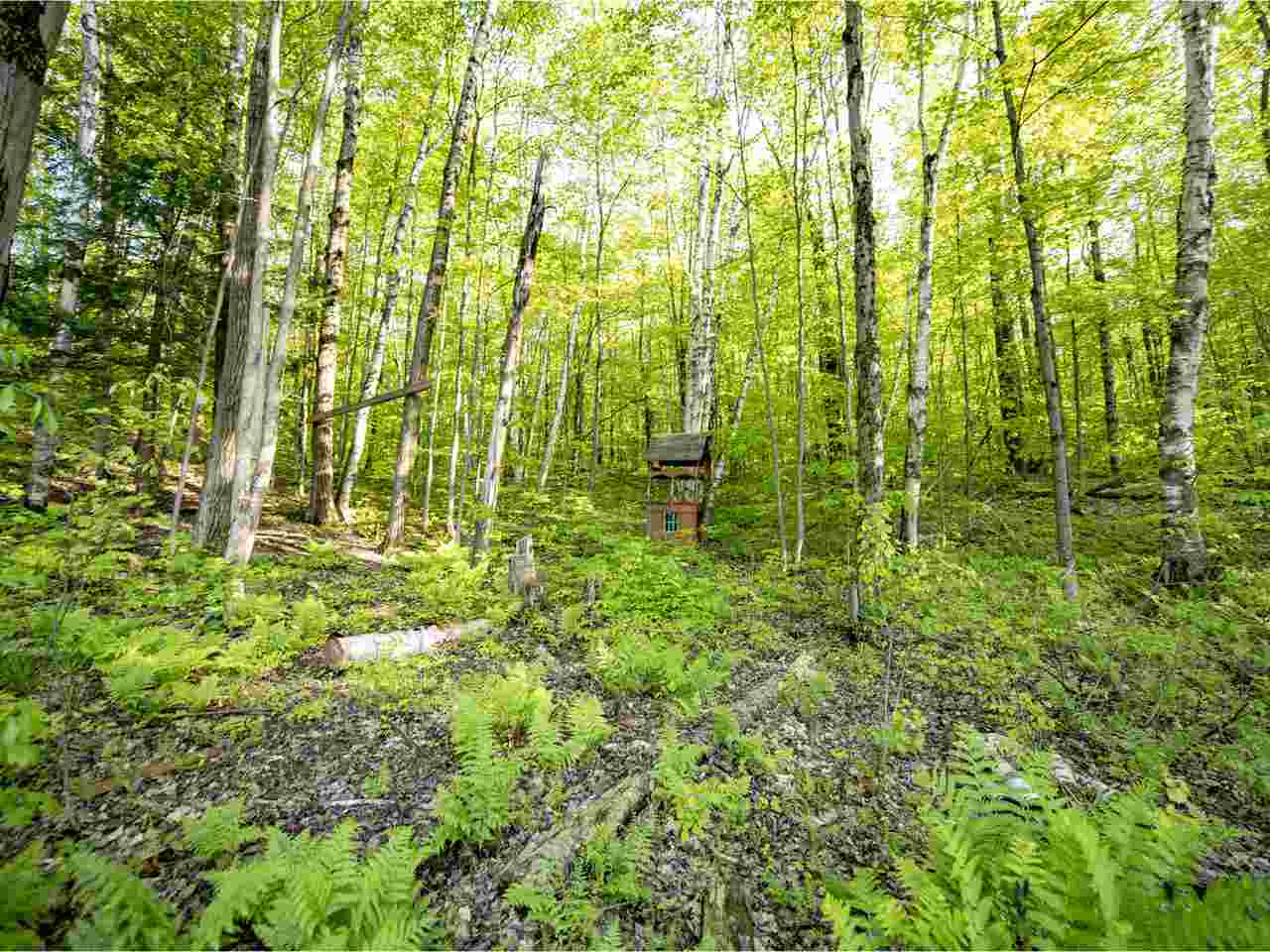 15 Devino Road Milton, VT 05468 - Photo 38 of 40 Gallery Image 38