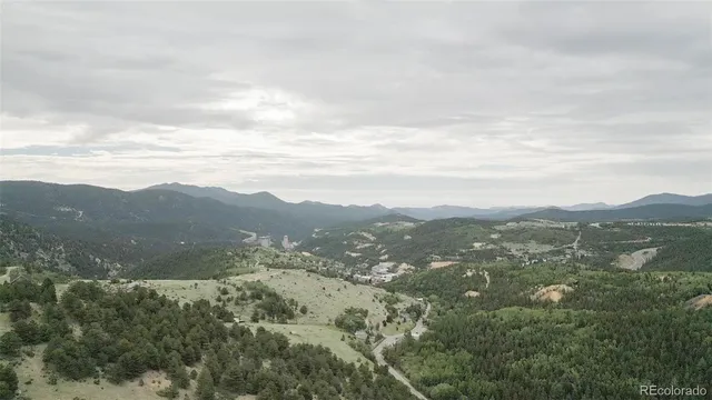a view of a wall with plants and trees