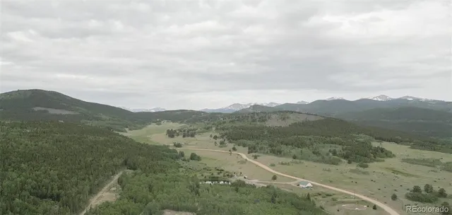 a view of a yard with a tree