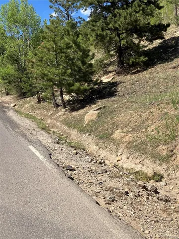 a view of a yard with yellow plants