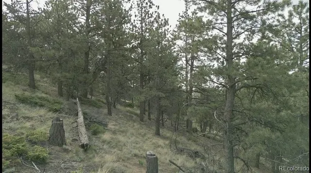 a view of a town with mountains in the background