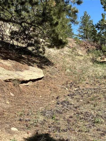 a view of a forest with a building in the background