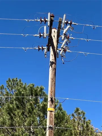 an aerial view of houses covered in trees