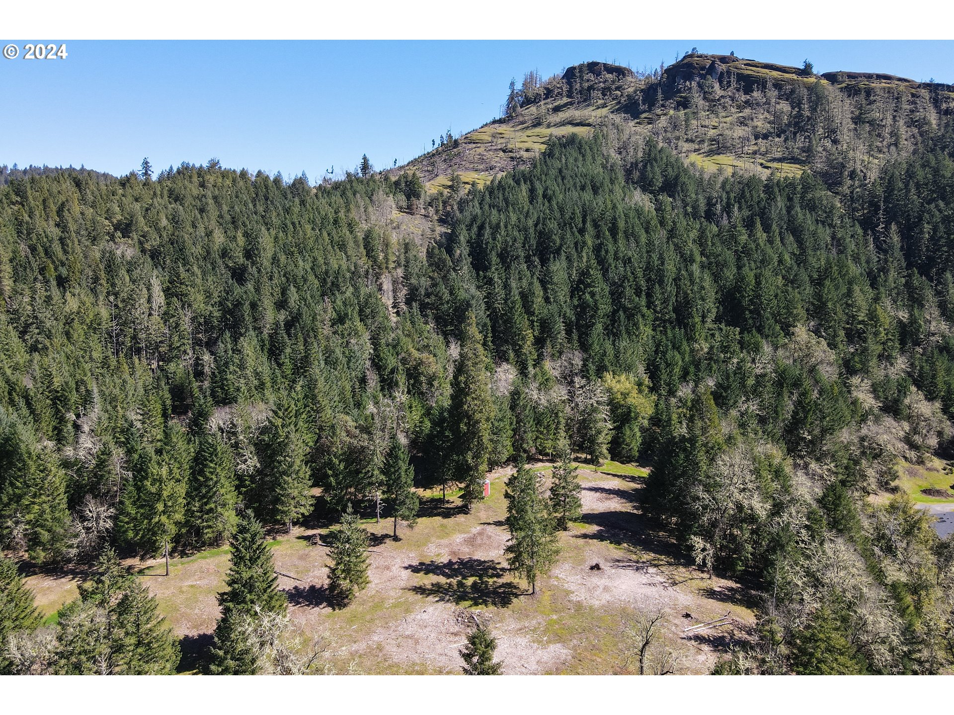6910 Upper Olalla Road Winston, OR 97496 - Photo 44 of 48 a view of a backyard of the house