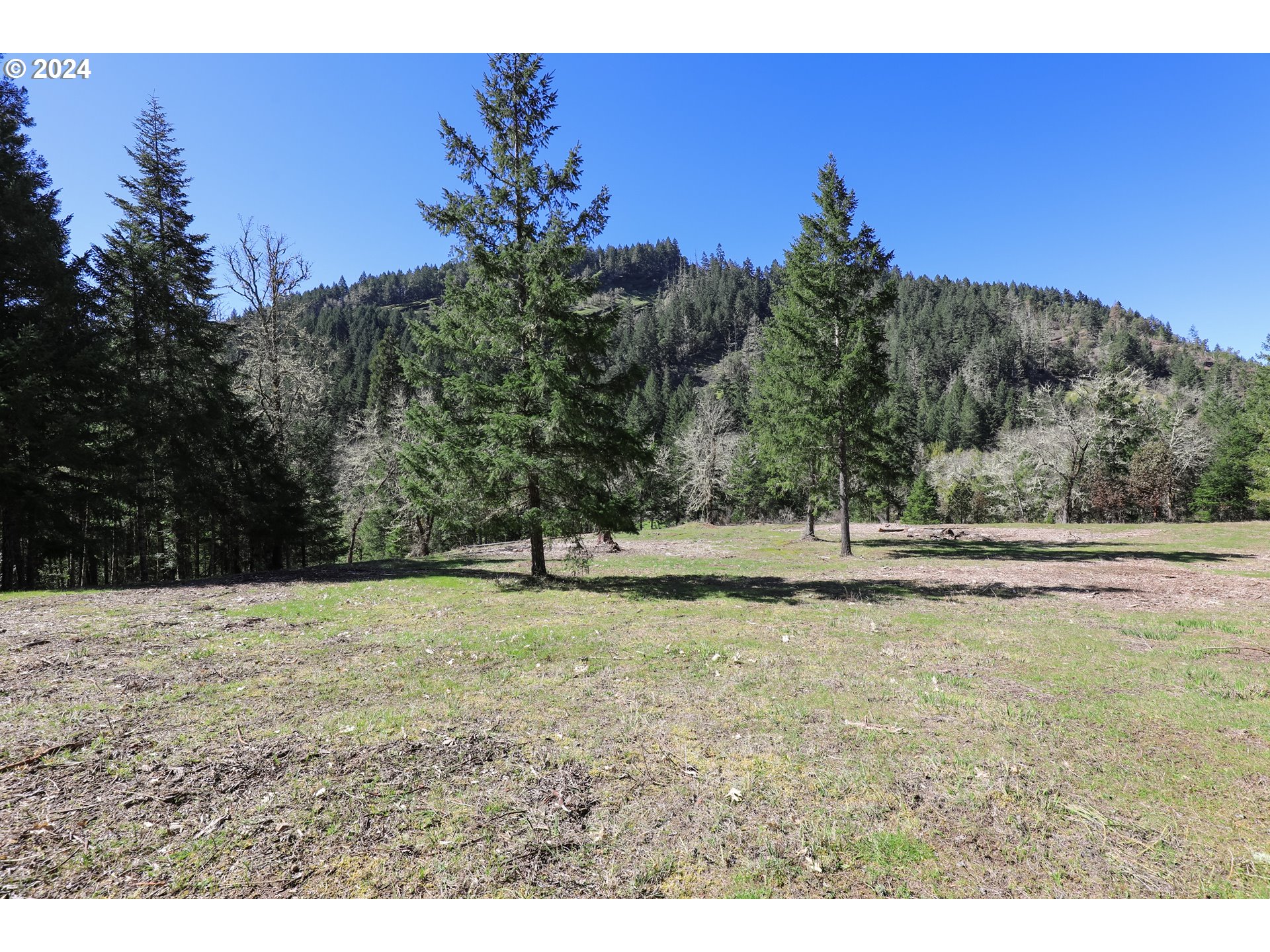 6910 Upper Olalla Road Winston, OR 97496 - Photo 47 of 48 a view of a yard with a tree