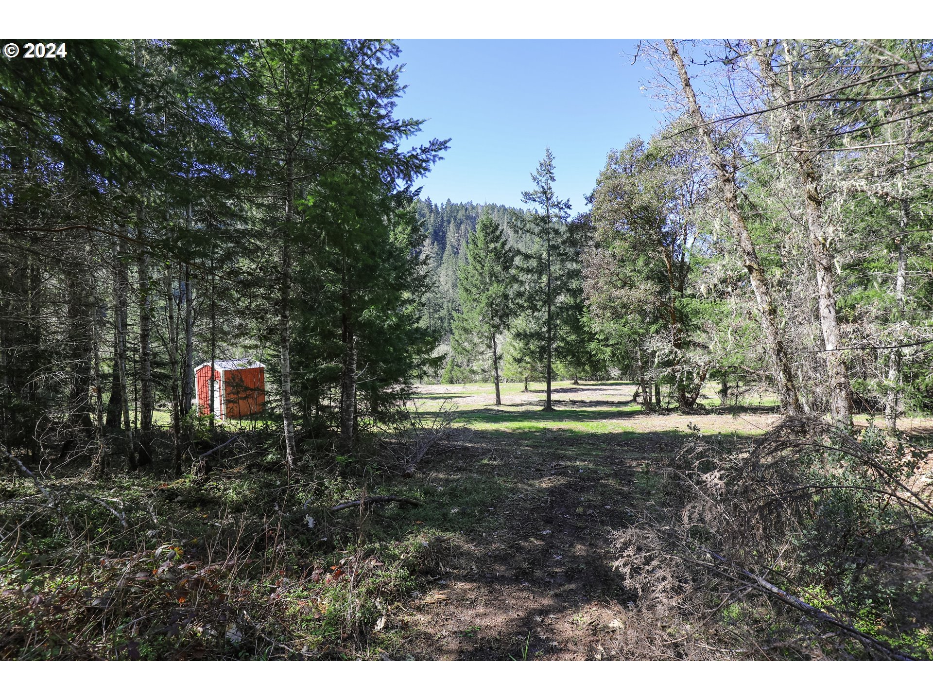 6910 Upper Olalla Road Winston, OR 97496 - Photo 48 of 48 a view of outdoor space and yard