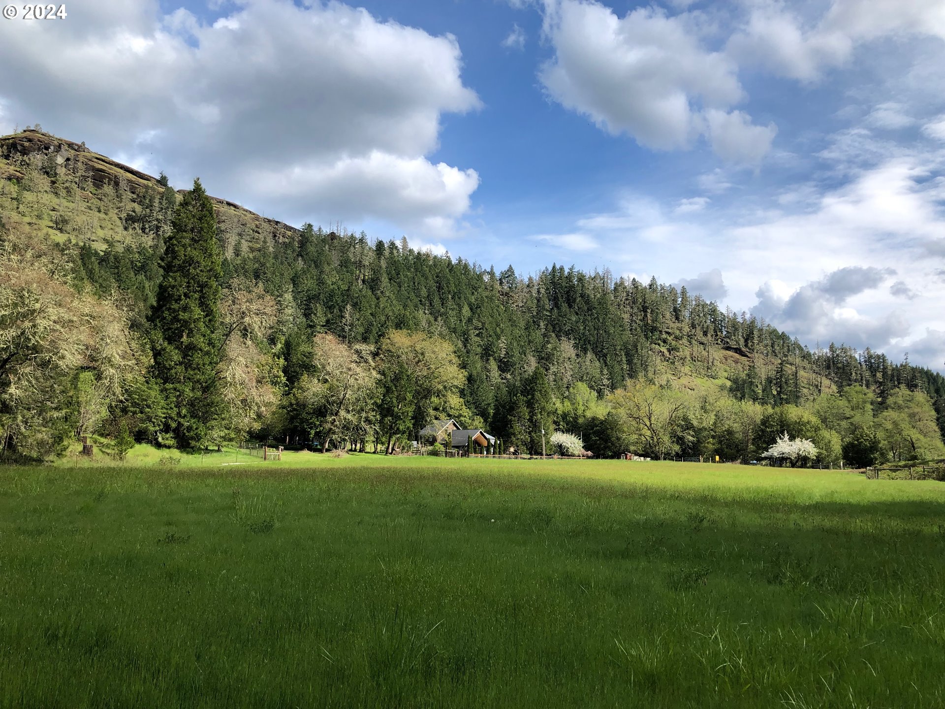 6910 Upper Olalla Road Winston, OR 97496 - Photo 5 of 48 a view of grassy field with trees