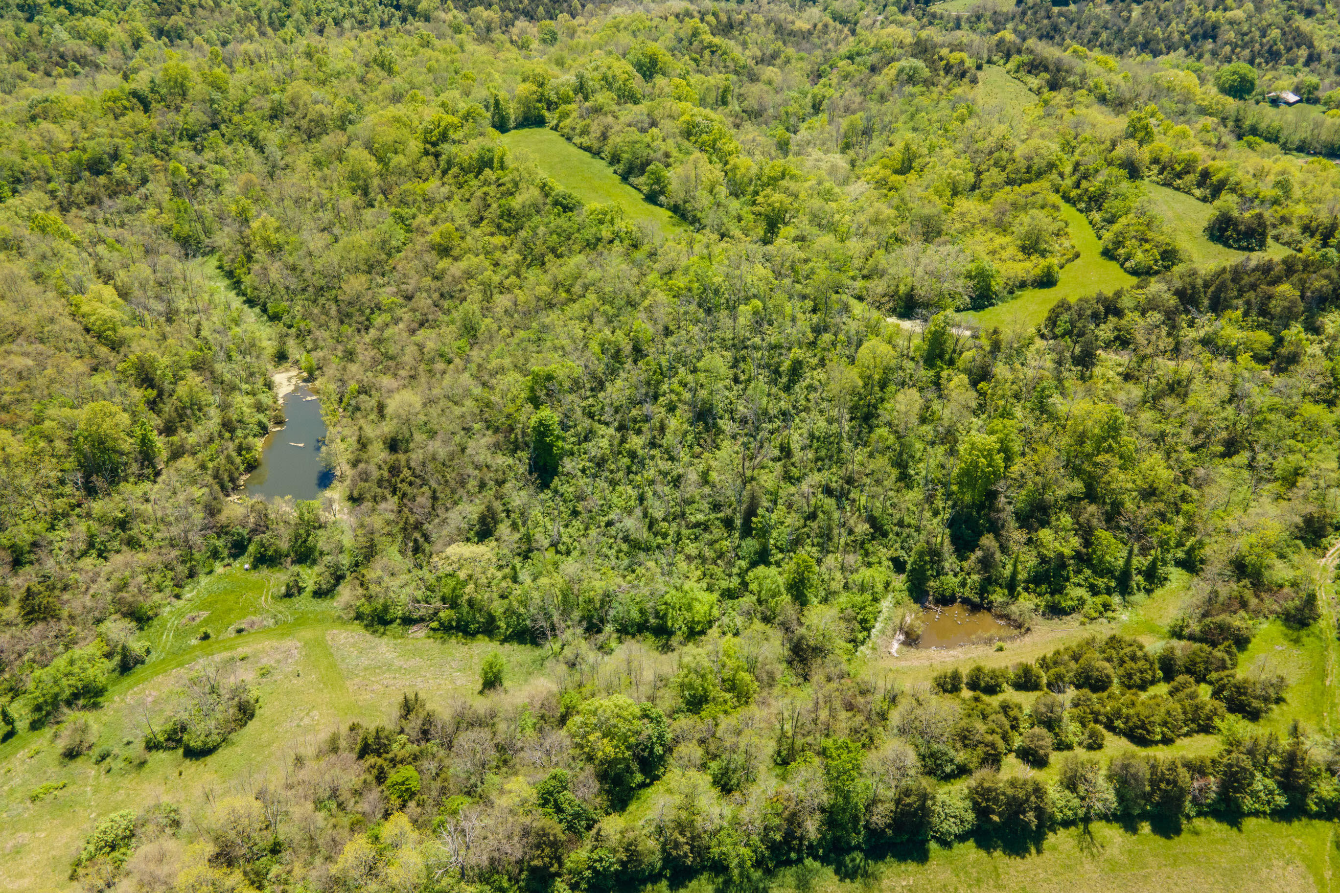 2080 Elm Fork Road Nicholasville, KY 40356 - Photo 69 of 91 20210512-2080-Elmfork-Rd-smith-drone-rea
