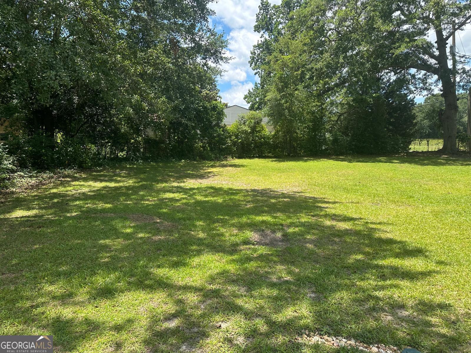 1300 Stonewall Street Dublin, GA 31021 - Photo 48 of 50