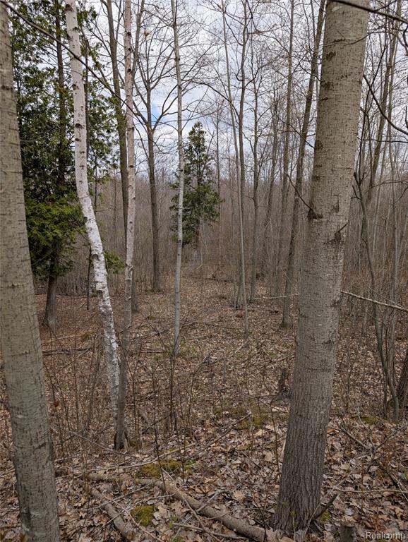 2889 Mill Station Road Hale, MI 48739 - Photo 23 of 33