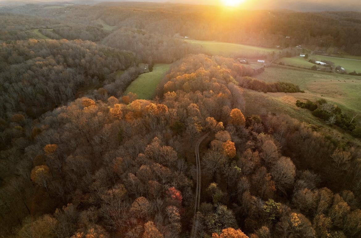 305 County Line Road Buchanan, VA 24066 - Photo 11 of 18 butch 7