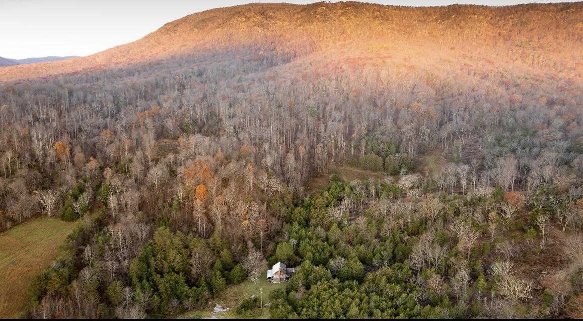 305 County Line Road Buchanan, VA 24066 - Photo 2 of 18 butch 6