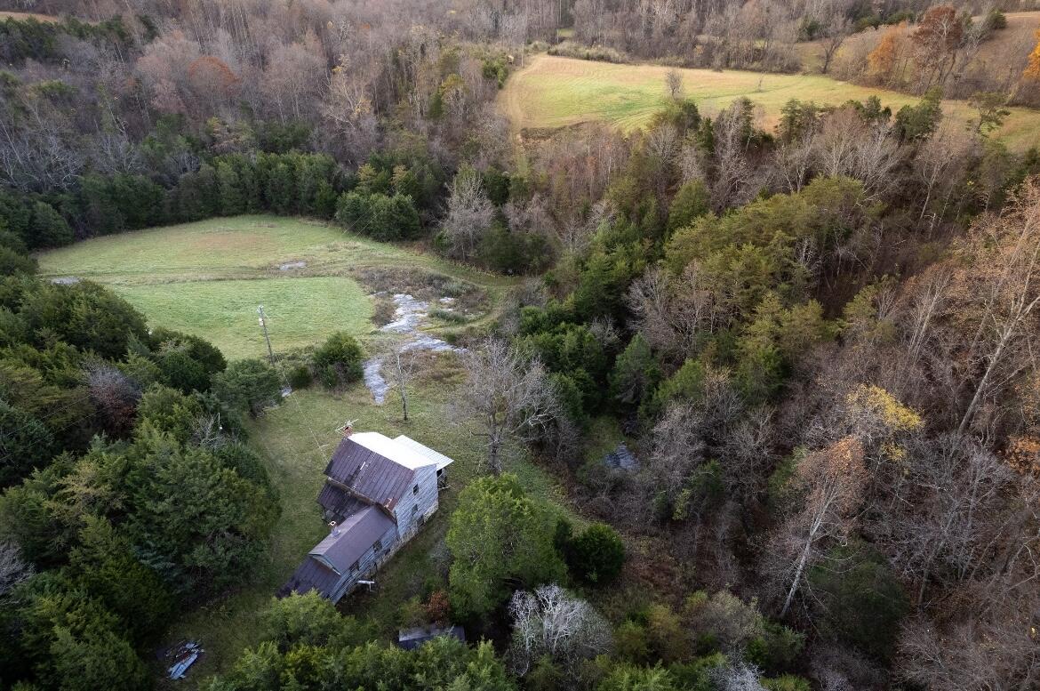 305 County Line Road Buchanan, VA 24066 - Photo 3 of 18 butch 5