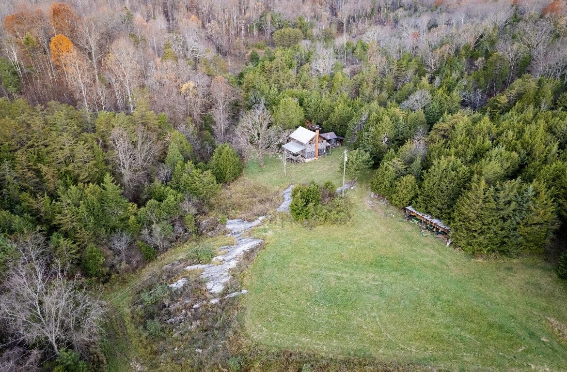 305 County Line Road Buchanan, VA 24066 - Photo 4 of 18 butch 4