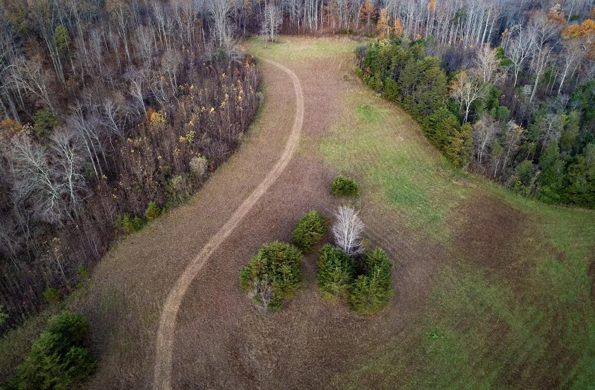 305 County Line Road Buchanan, VA 24066 - Photo 5 of 18 butch 3