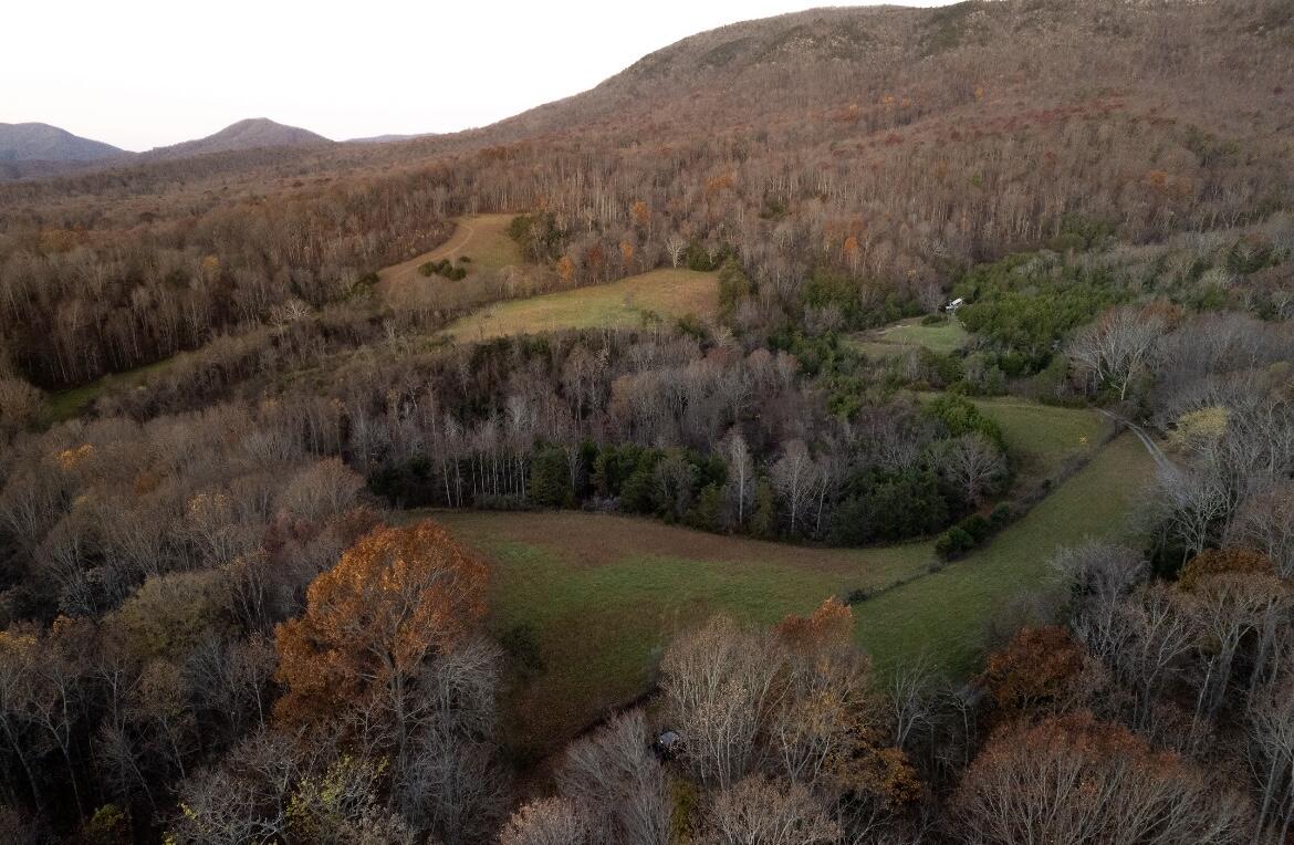 305 County Line Road Buchanan, VA 24066 - Photo 7 of 18 butch 1