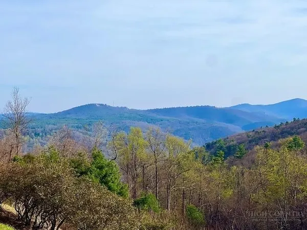 a view of mountain and a forest