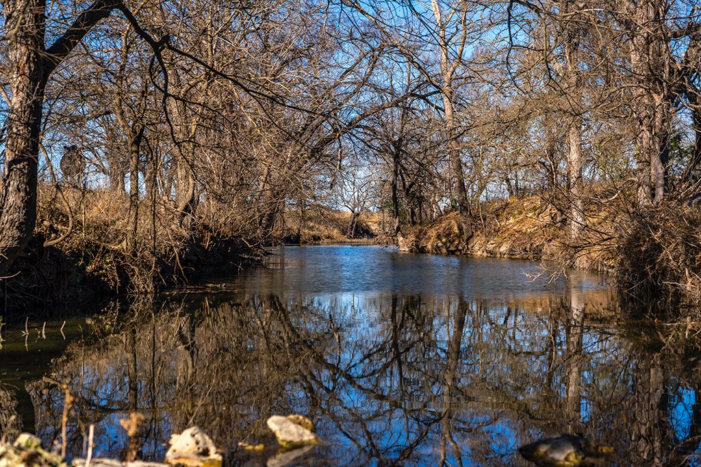 855 Lindig Ranch Road Stonewall, TX 78671 - Photo 11 of 43