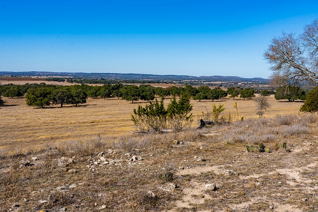 855 Lindig Ranch Road Stonewall, TX 78671 - Photo 16 of 43