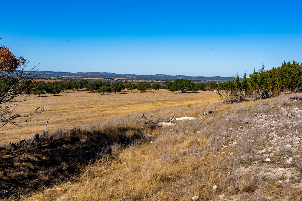 855 Lindig Ranch Road Stonewall, TX 78671 - Photo 17 of 43