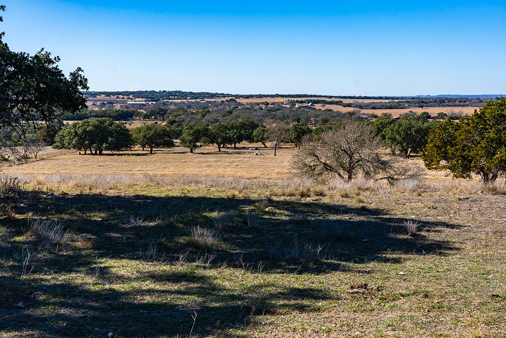 855 Lindig Ranch Road Stonewall, TX 78671 - Photo 18 of 43