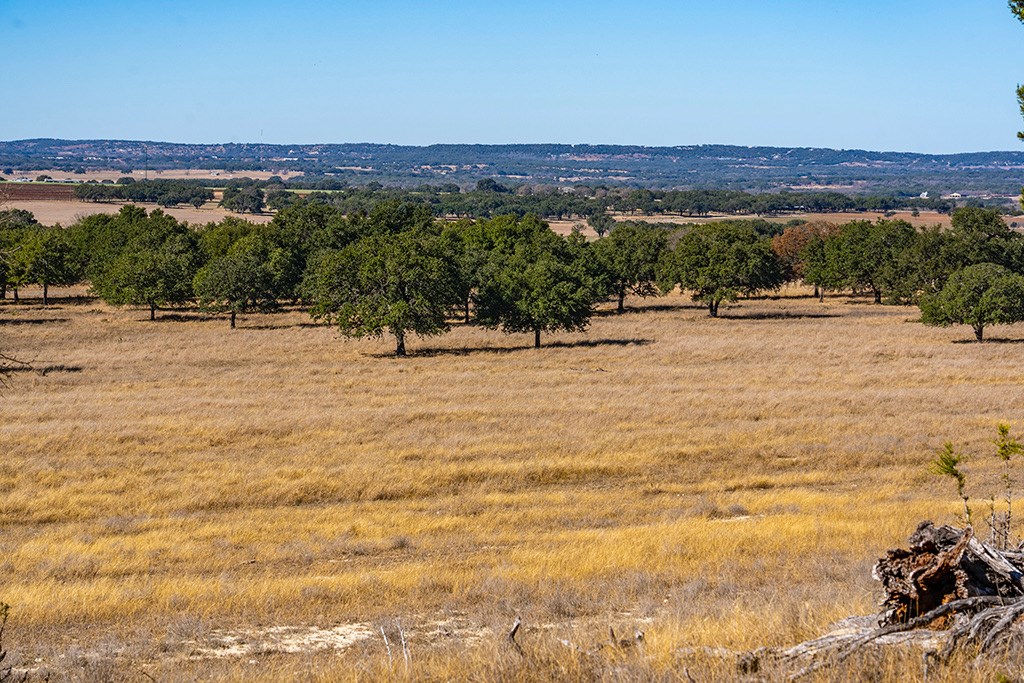 855 Lindig Ranch Road Stonewall, TX 78671 - Photo 19 of 43