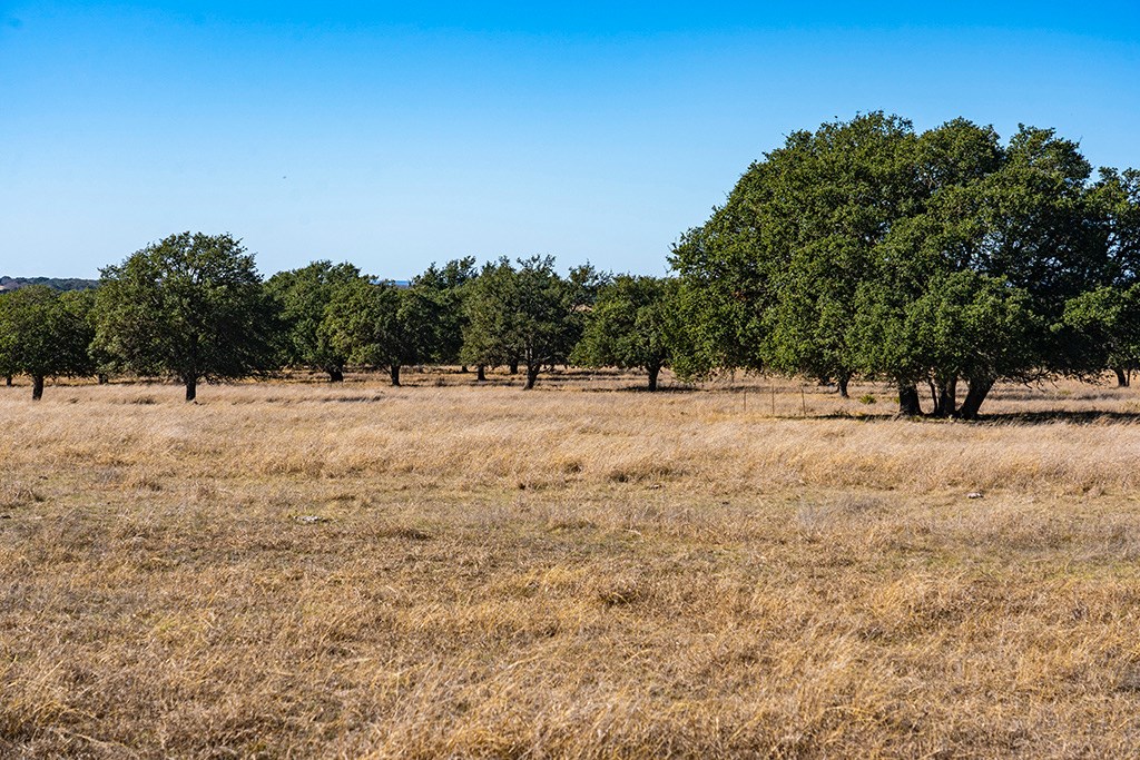 855 Lindig Ranch Road Stonewall, TX 78671 - Photo 20 of 43