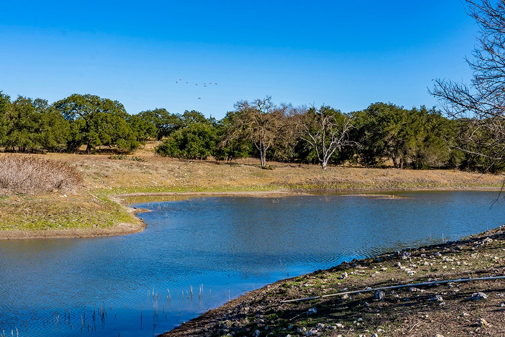 855 Lindig Ranch Road Stonewall, TX 78671 - Photo 2 of 43