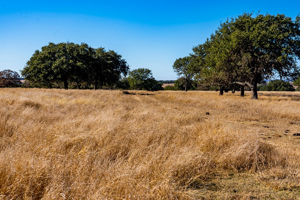 855 Lindig Ranch Road Stonewall, TX 78671 - Photo 21 of 43