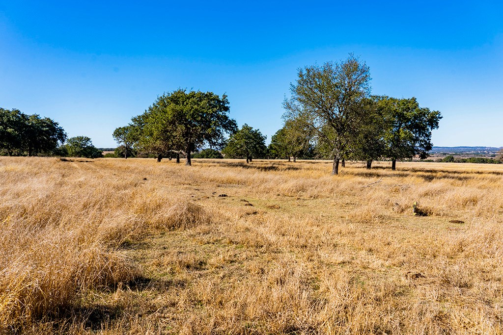855 Lindig Ranch Road Stonewall, TX 78671 - Photo 22 of 43