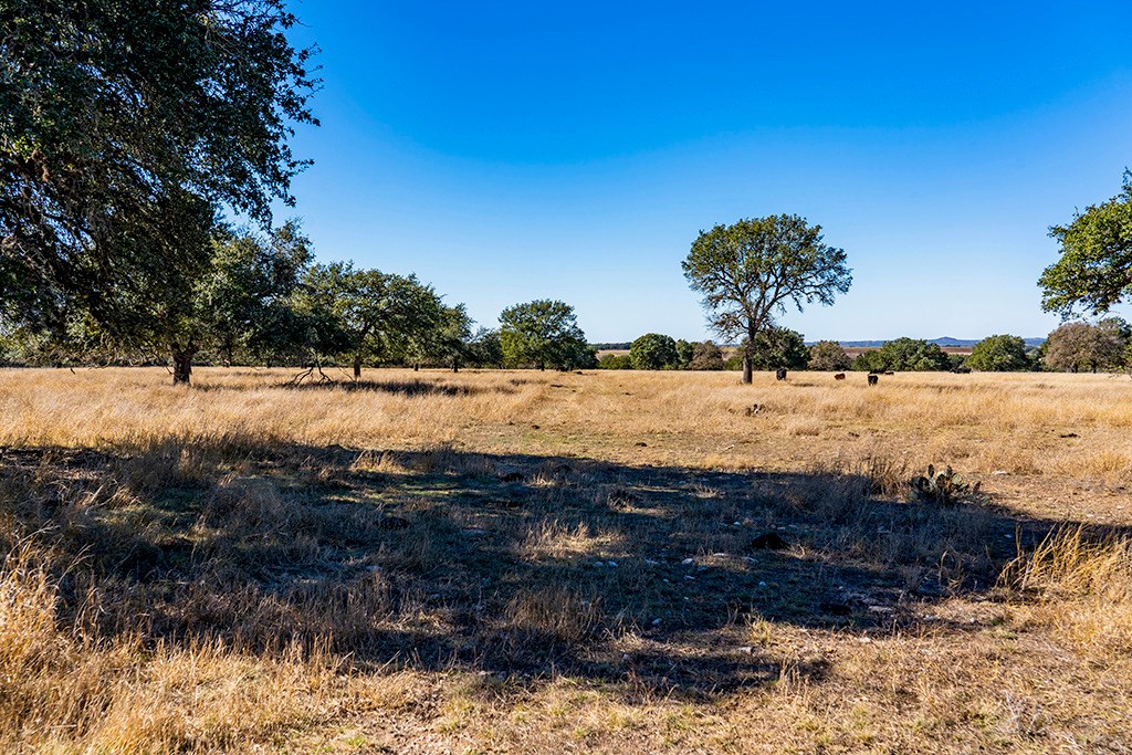 855 Lindig Ranch Road Stonewall, TX 78671 - Photo 23 of 43