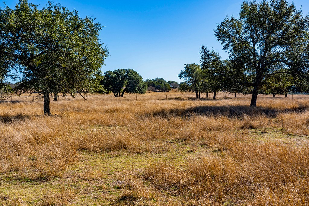 855 Lindig Ranch Road Stonewall, TX 78671 - Photo 24 of 43