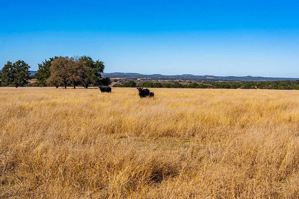 855 Lindig Ranch Road Stonewall, TX 78671 - Photo 25 of 43
