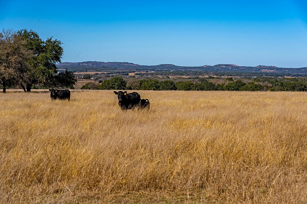 855 Lindig Ranch Road Stonewall, TX 78671 - Photo 26 of 43